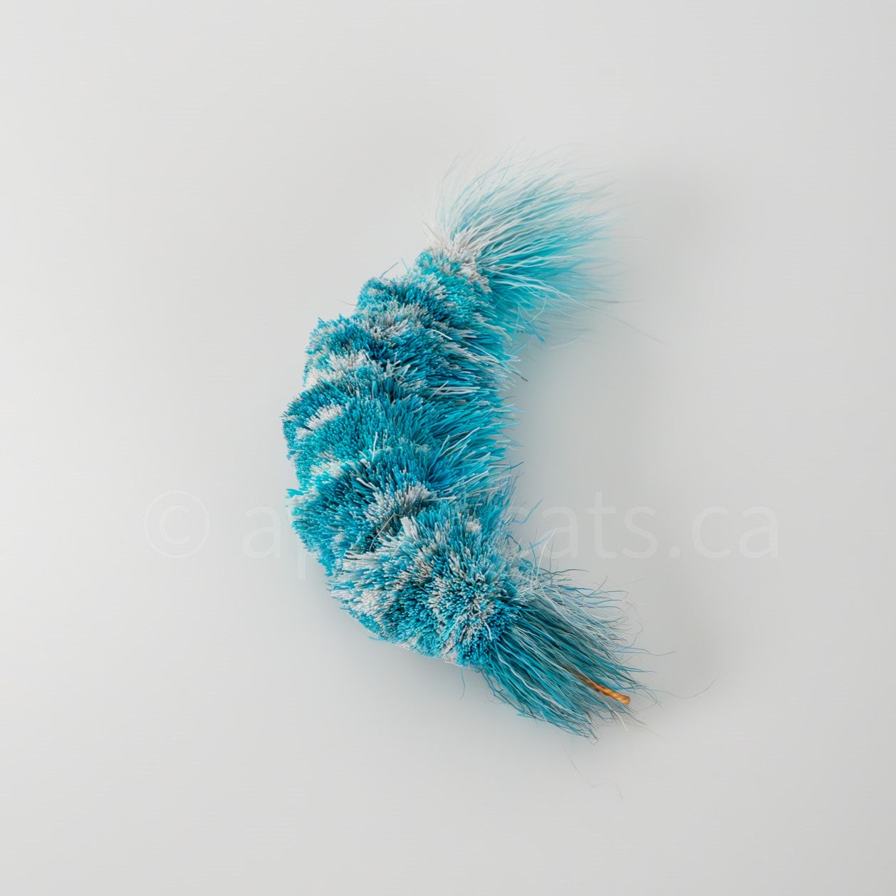 Vibrant Meadow Great Blue Jelly Shrimp