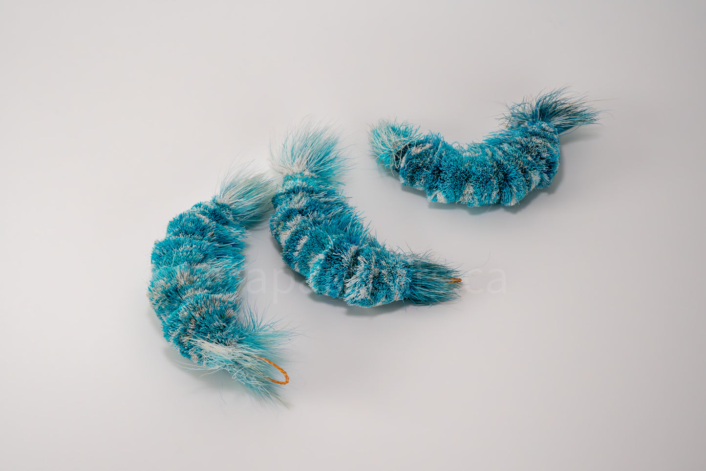 Vibrant Meadow Great Blue Jelly Shrimp