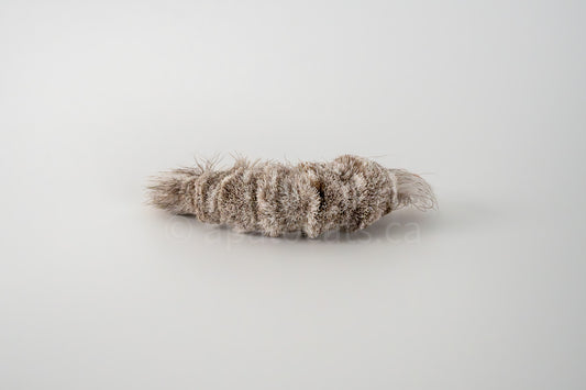 Vibrant Meadow Great Brown Pale Shrimp