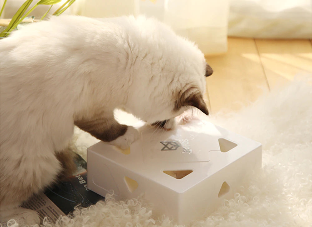 Magic Box Automatic Feather Pop Up Toy