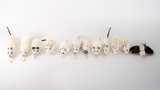 Line of hand crafted deer hair cat toys called KittyPrey Floofs