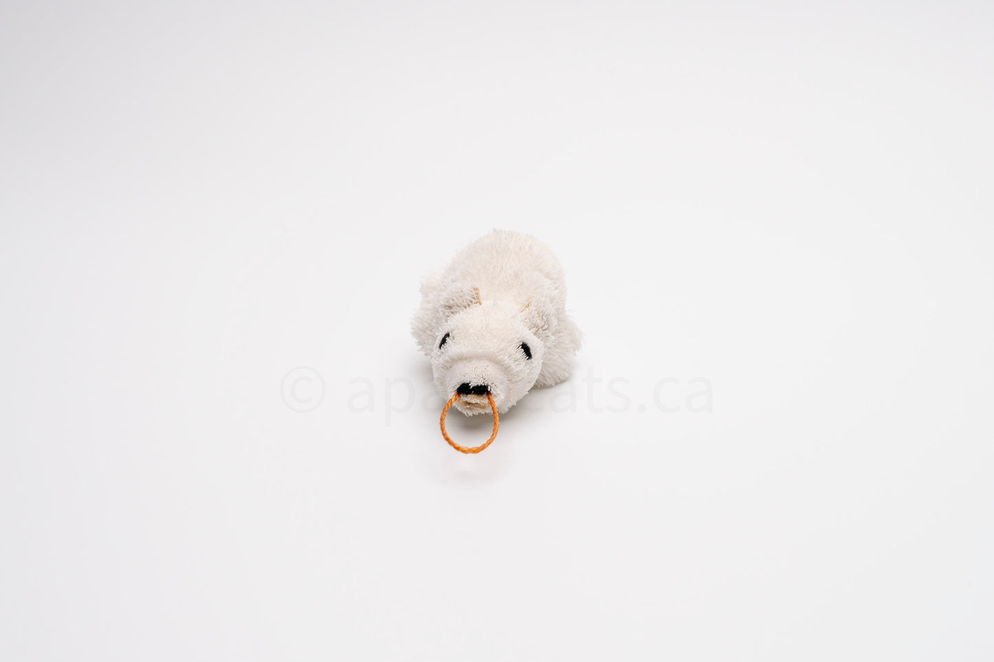 True North Polar Bear Cub