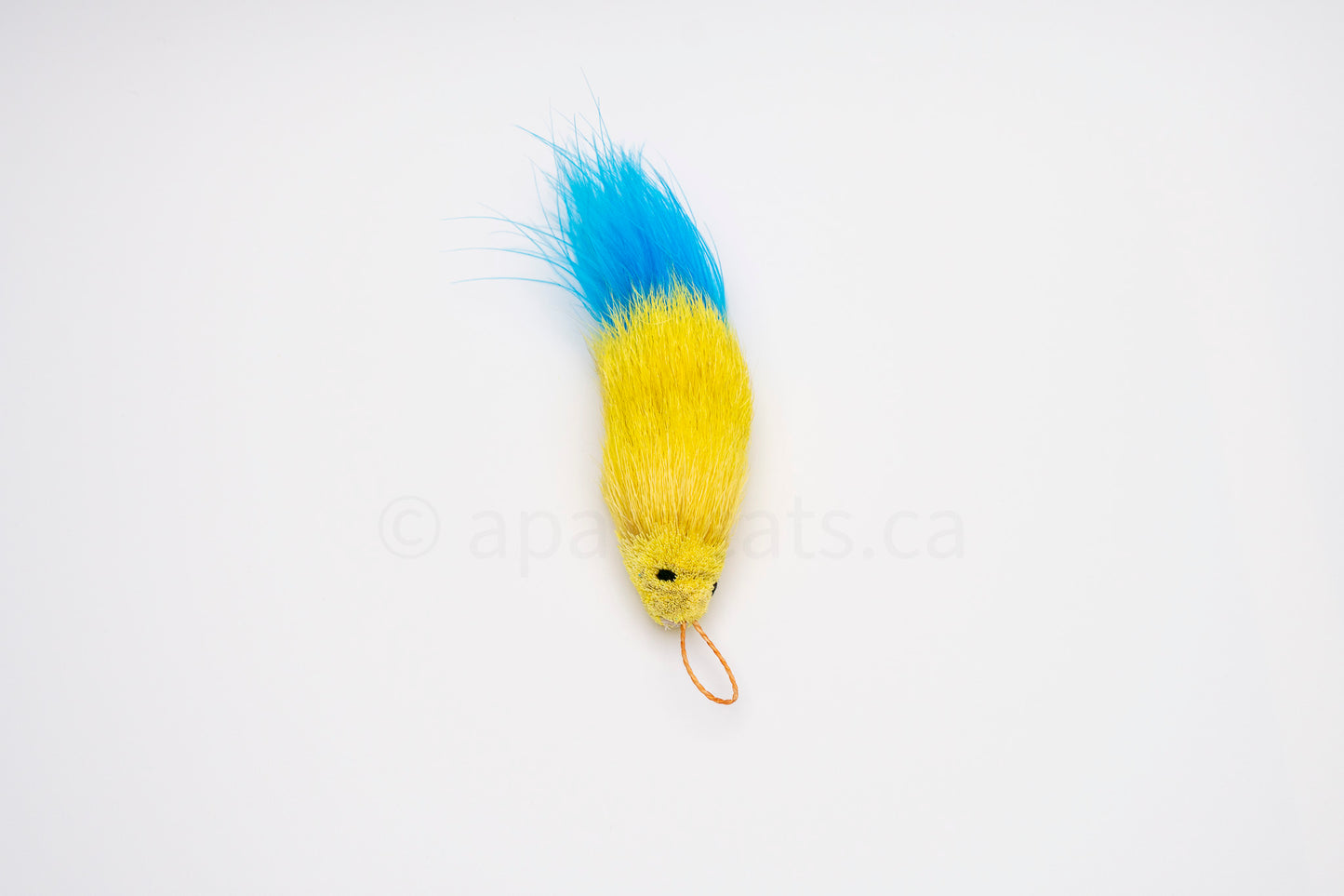 Vibrant Meadow Blue-Tailed Yellow Guppy