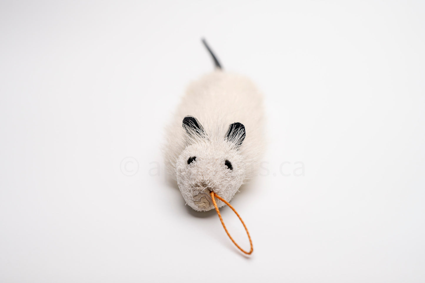 True North Long Great Angora Mouse