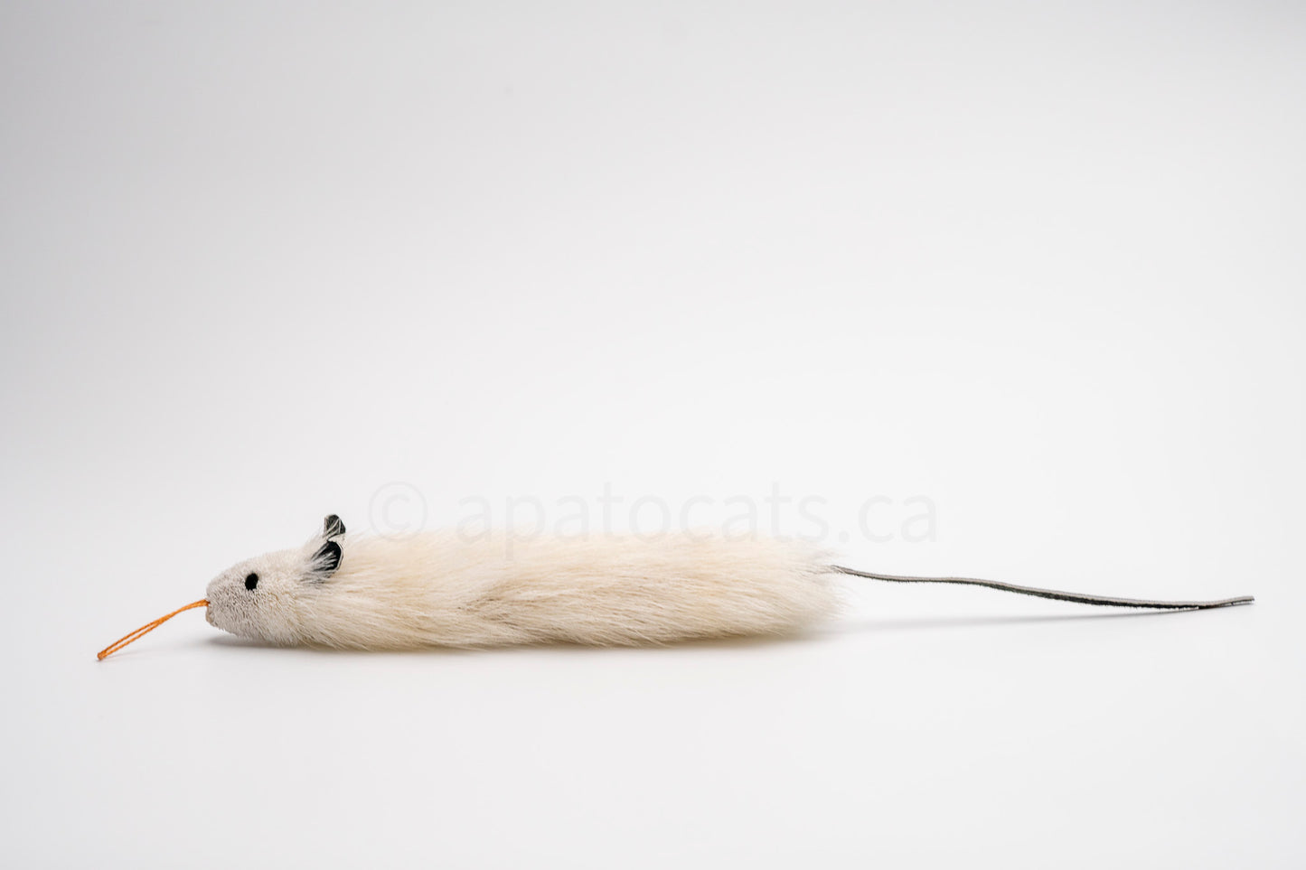 True North Long Great Angora Mouse