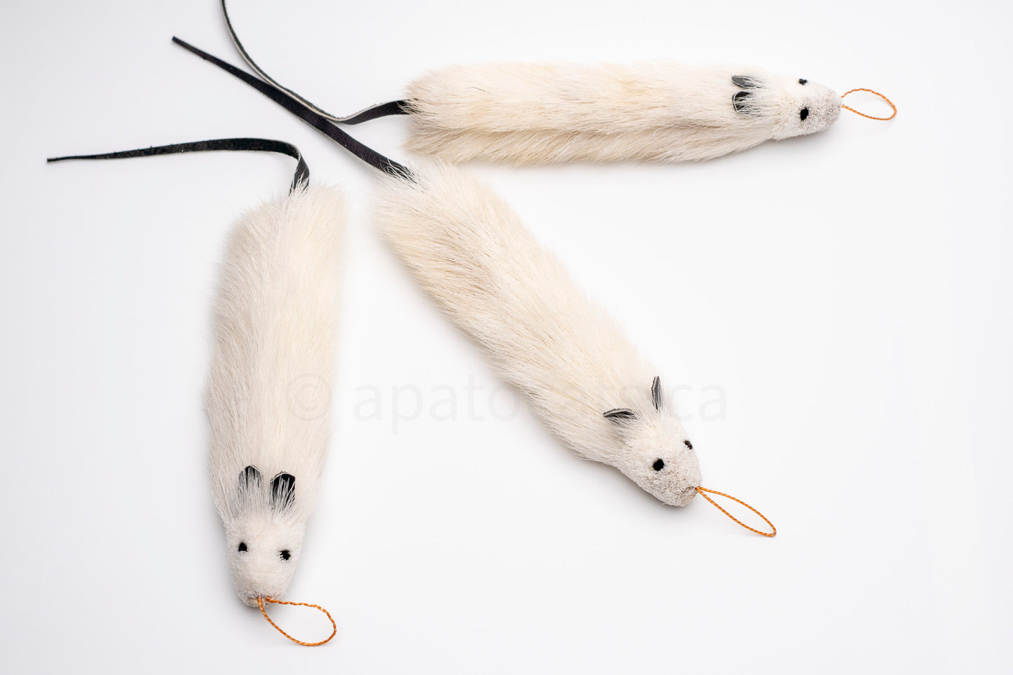 True North Long Great Angora Mouse