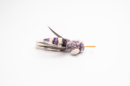 Vibrant Meadow Widow Skimmer Dragonfly