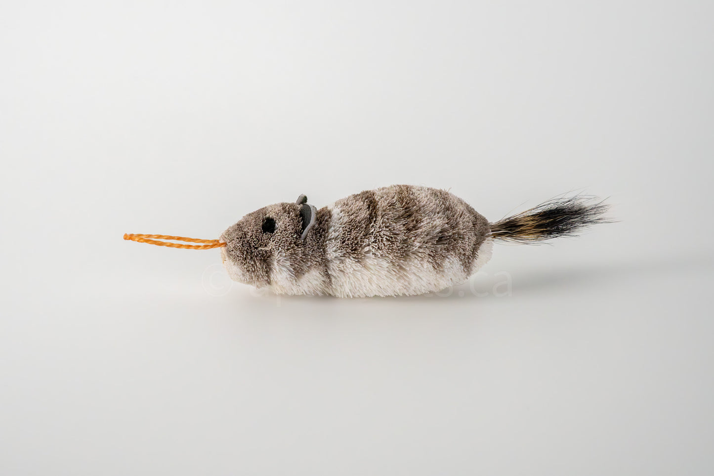 Vibrant Meadow Richardson Ground Squirrel